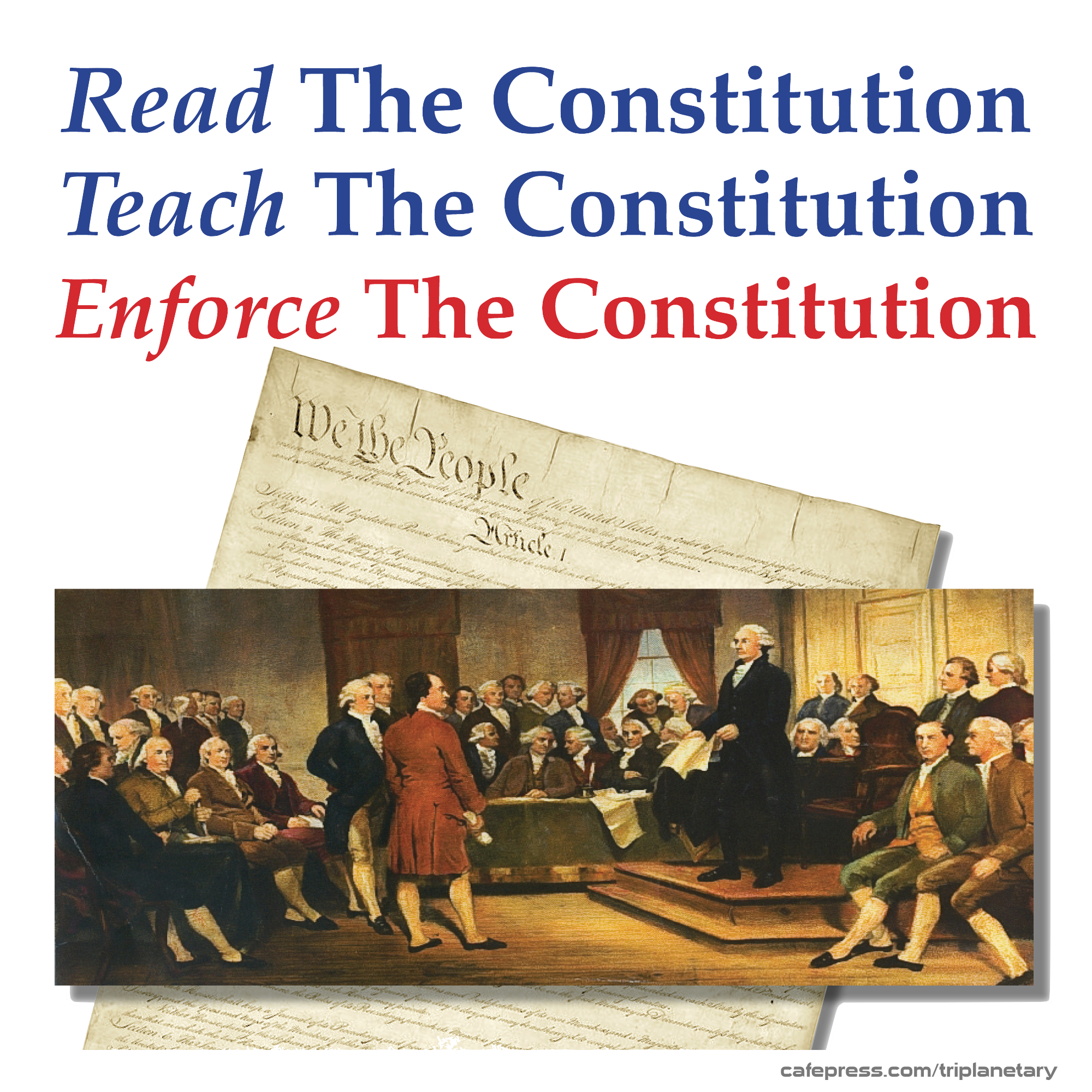 Color image of Enforce the Constitution T-shirt